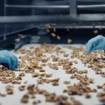Chile líder en la exportación de nueces
