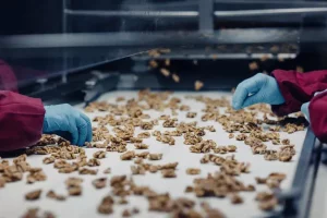 Chile líder en la exportación de nueces