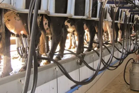 Milk Summit Mercosur 2026