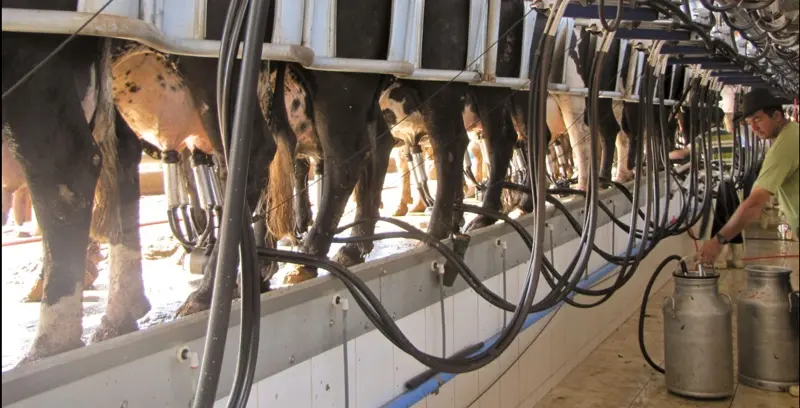 Milk Summit Mercosur 2026