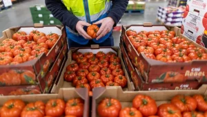 Caída de las exportaciones británicas de alimentos