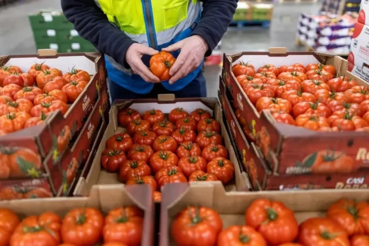 Caída de las exportaciones británicas de alimentos