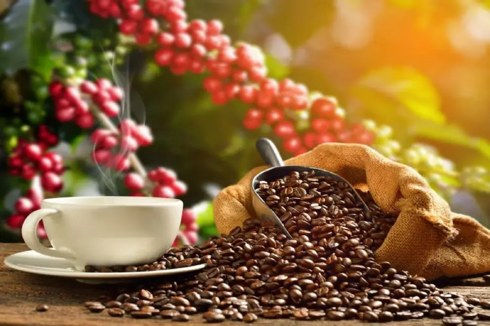 Exportación café peruano