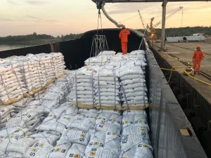 Paraguay y sus exportaciones de arroz
