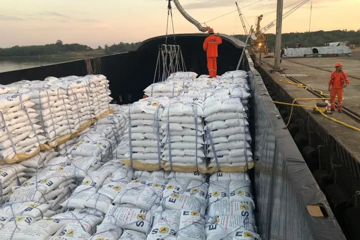Paraguay y sus exportaciones de arroz