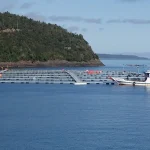 Acuicultura en Latinoamerica