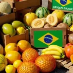 la fruticultura brasileña atraviesa uno de sus mejores momentos