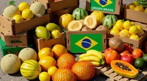la fruticultura brasileña atraviesa uno de sus mejores momentos