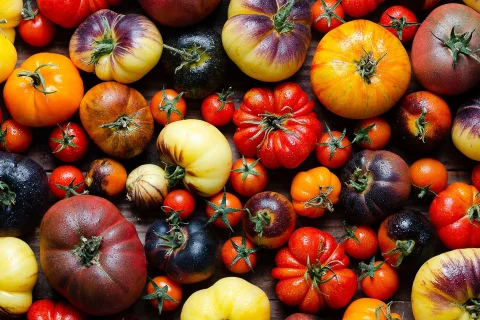 Tomates