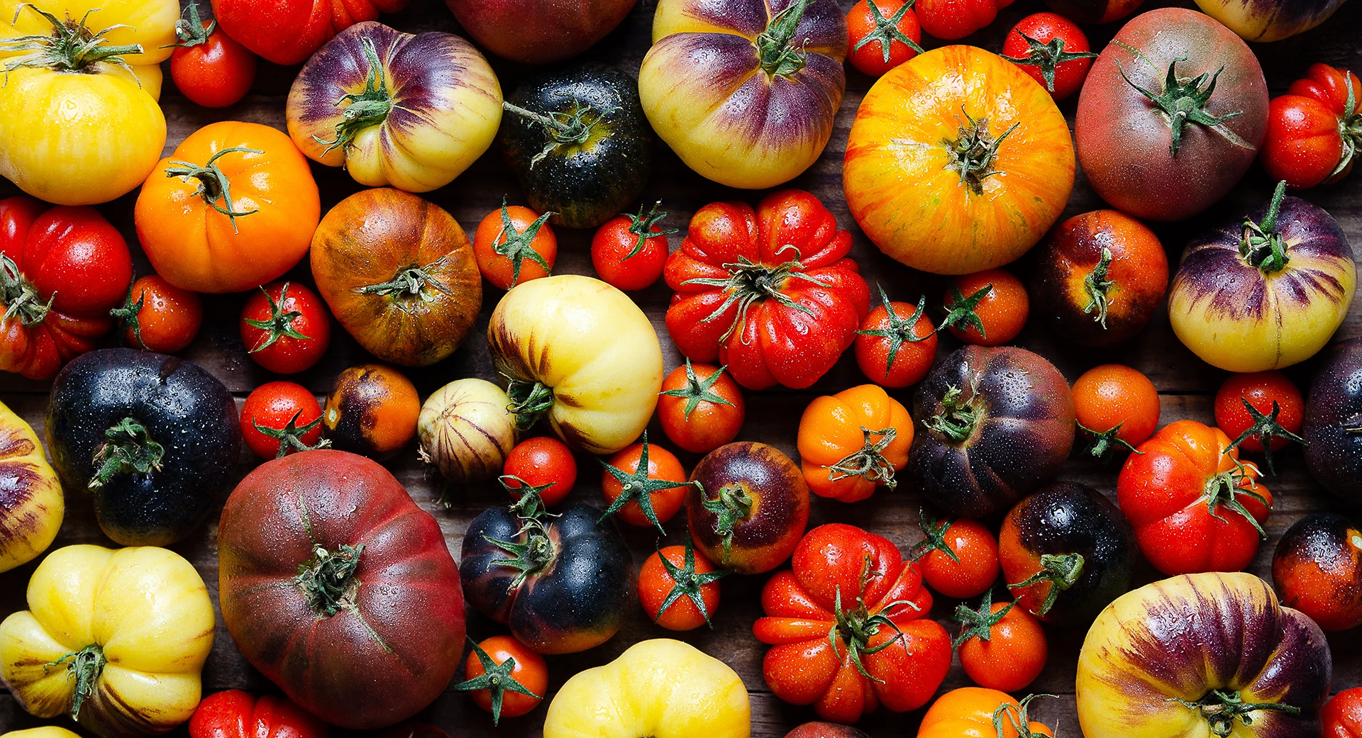 Tomates