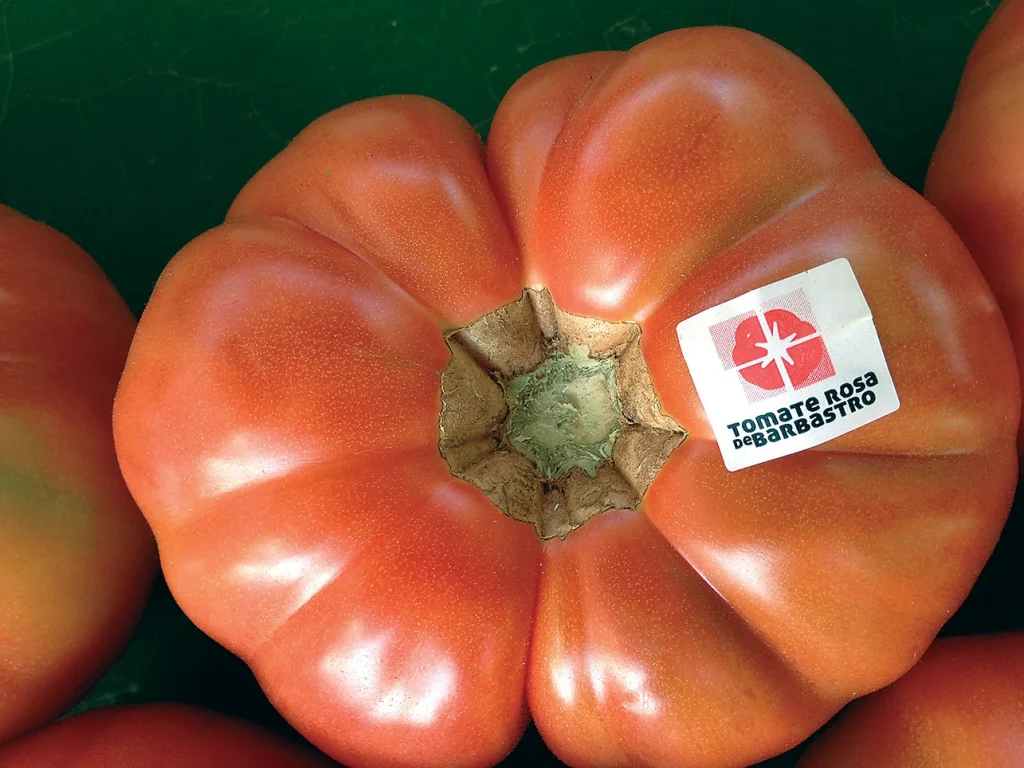 Tomate rosa de Barbastro