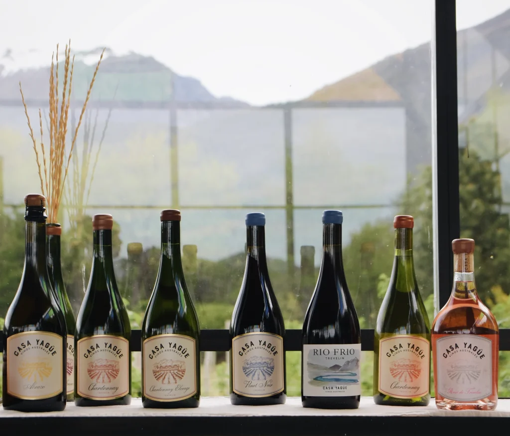 Porfolio de vinos de Casa Yagüe Vinos Australes.